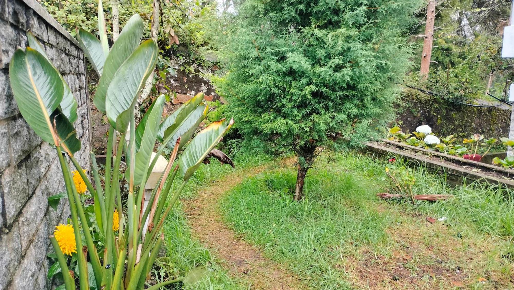 Kodai King Suite Kodaikanal Exteriör bild